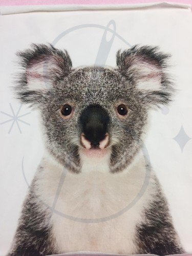 panel_koala.jpg