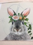 P3  Szary Królik w wianku na beżu  panel dresowy L 57/62   