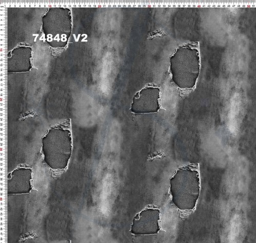 168379227_489853638871500_2824462472257861685_n.jpg
