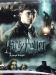 P6 Harry  film  -  Panel dresowy S  43/57 