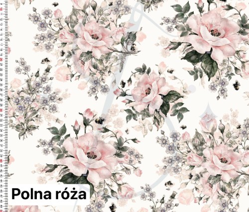 polna roza.jpg