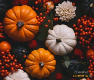 WD Welur elastyczny -  Dynie