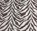 zebra1 (1).jpg